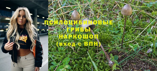соль курить ск Михайловск
