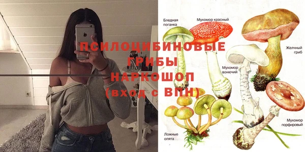 соль курить ск Михайловск