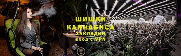 шишки Михайлов