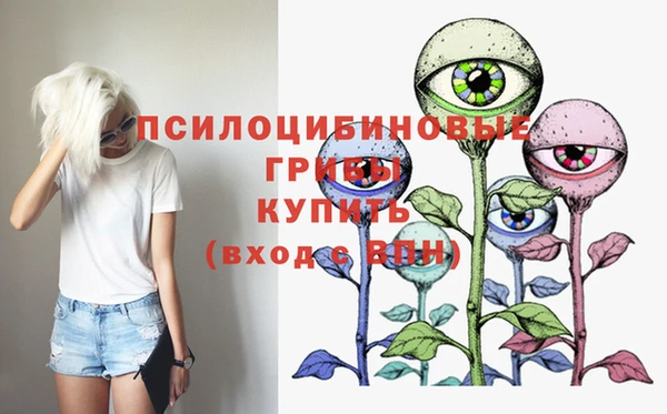 шишки Михайлов