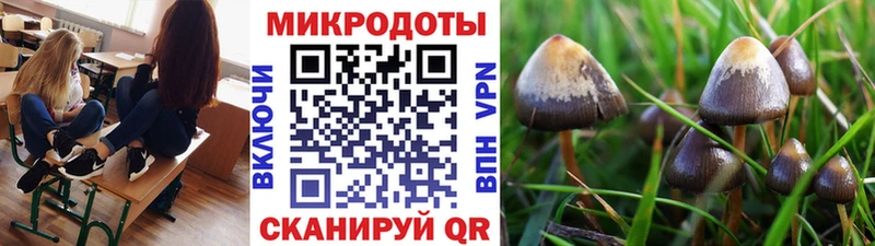 ссылка на мегу tor  Светлоград  Псилоцибиновые грибы MAGIC MUSHROOMS 