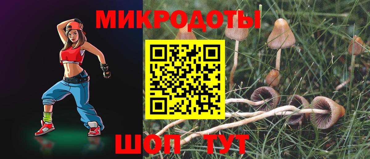 Галлюциногенные грибы Psilocybe  Вход с VPN  Светлоград 