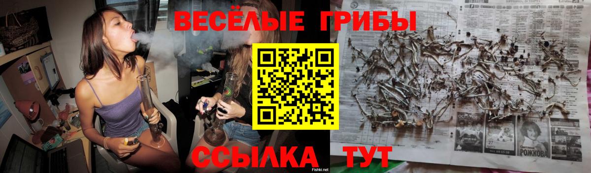 Псилоцибиновые грибы прущие грибы Светлоград